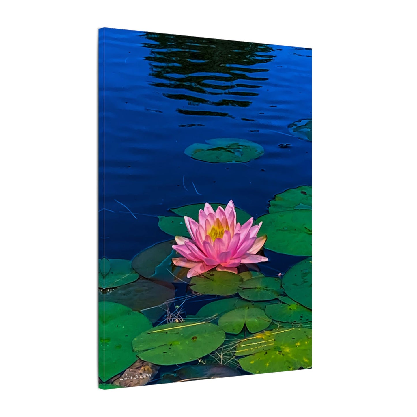 Water Lily Canvas Print — Pink Lotus Pond Wall Art (Matte Stretched)