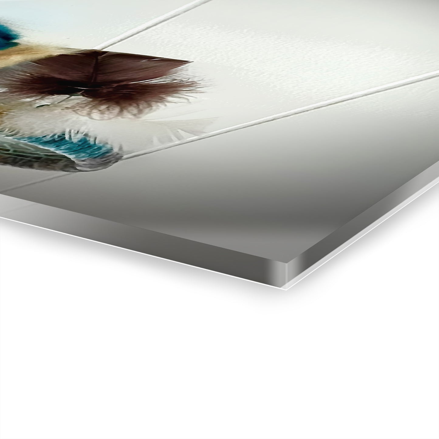 Dreamcatcher Acrylic Print — Chocolate Brown & Teal Boho Wall Art (French Cleat Hanging)