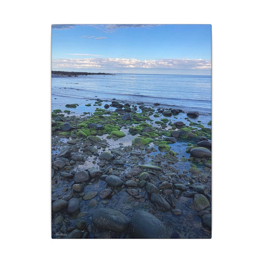 Coastal Rock Beach Matte Canvas Print — Serene Ocean Wall Art