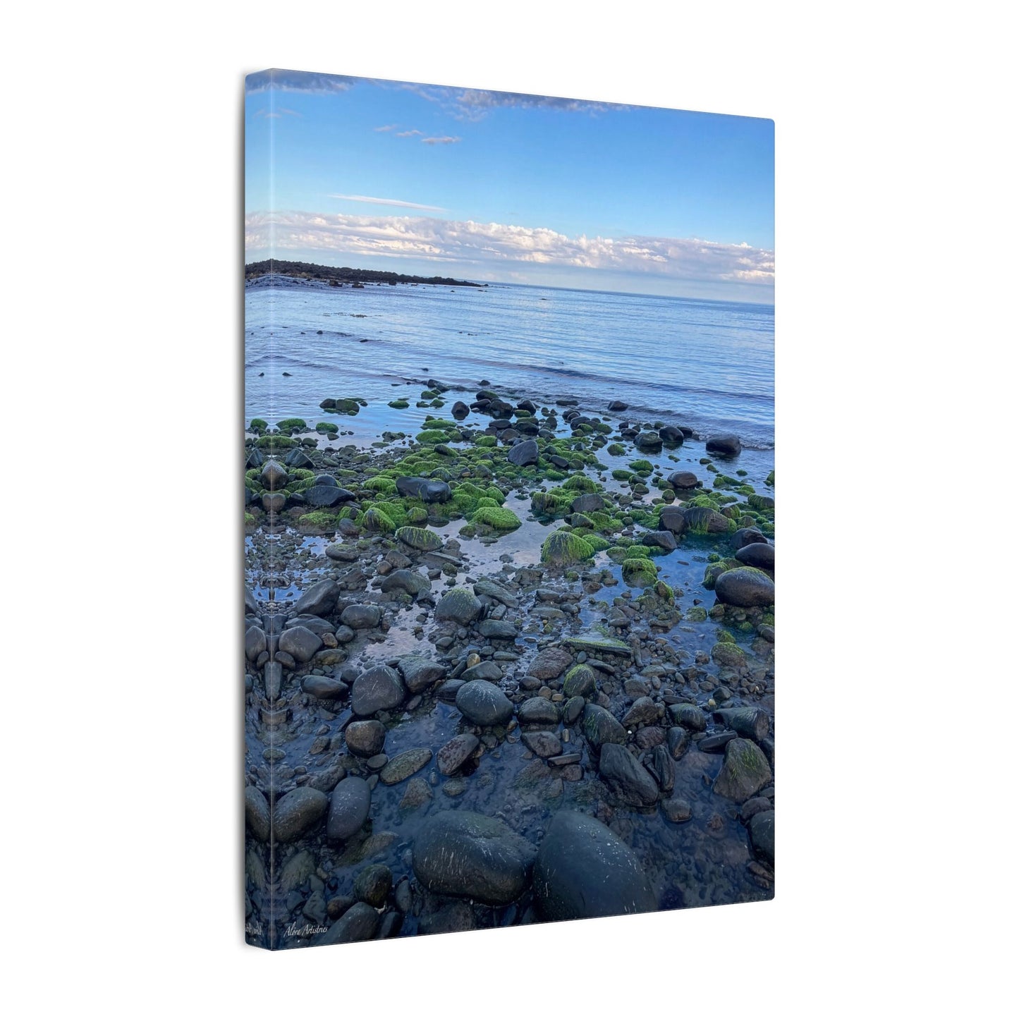 Coastal Rock Beach Matte Canvas Print — Serene Ocean Wall Art