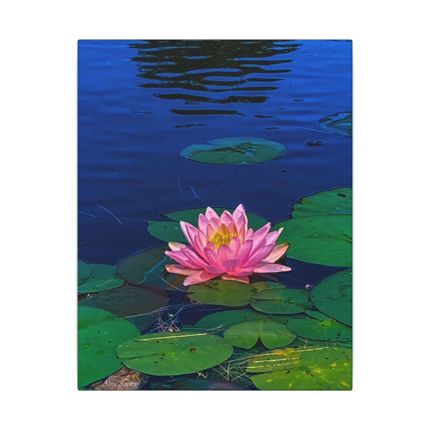 Water Lily Canvas Print — Pink Lotus Pond Wall Art (Matte Stretched)