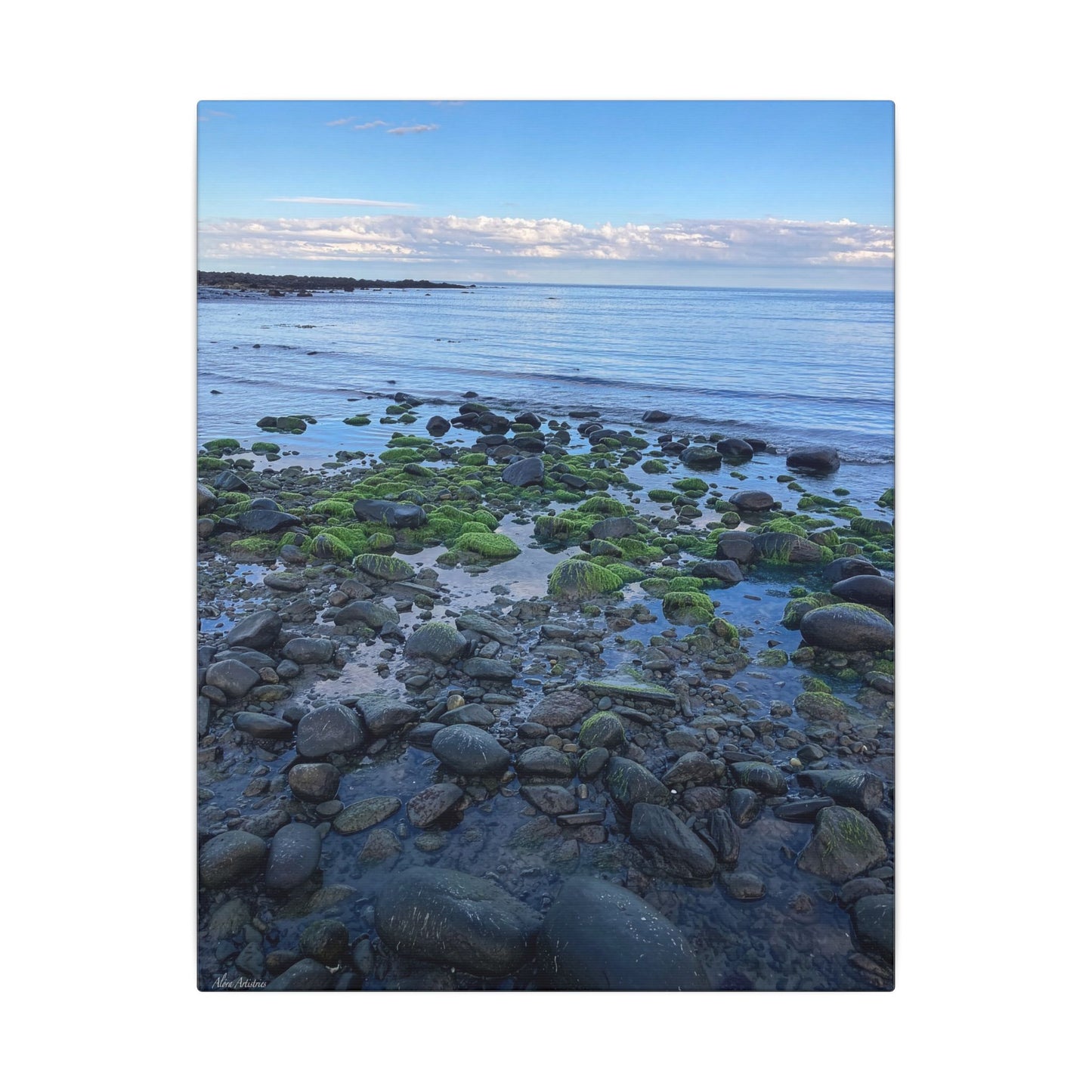 Coastal Rock Beach Matte Canvas Print — Serene Ocean Wall Art