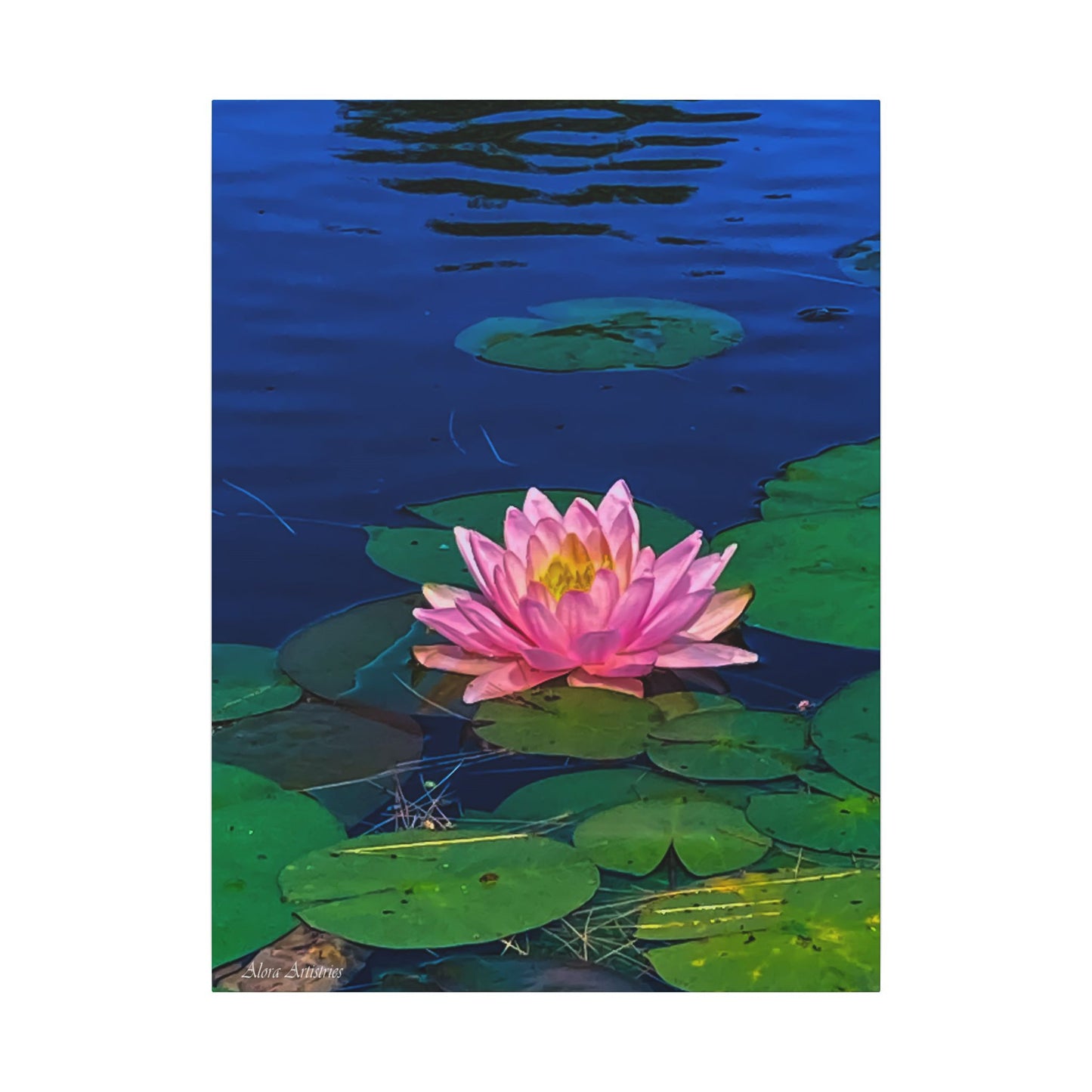 Water Lily Canvas Print — Pink Lotus Pond Wall Art (Matte Stretched)