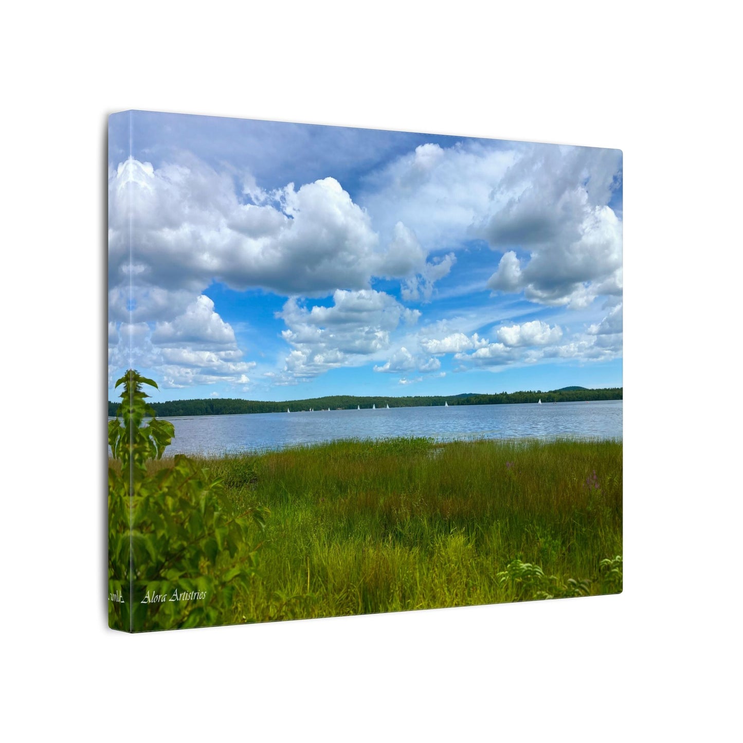 Lake Massabesic Sailboats Canvas