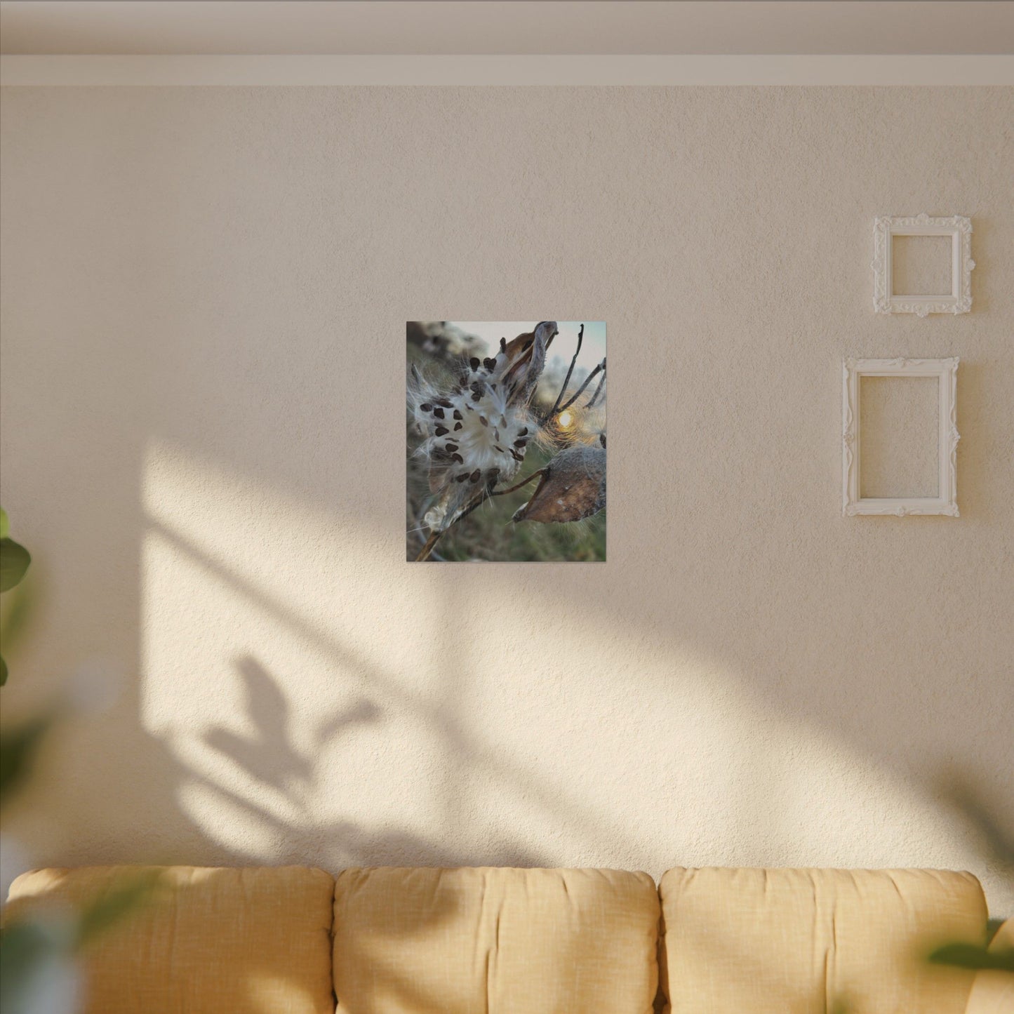 Milkweed Seed Burst Canvas Wall Art — Botanical Close-Up with Sunlit Glow