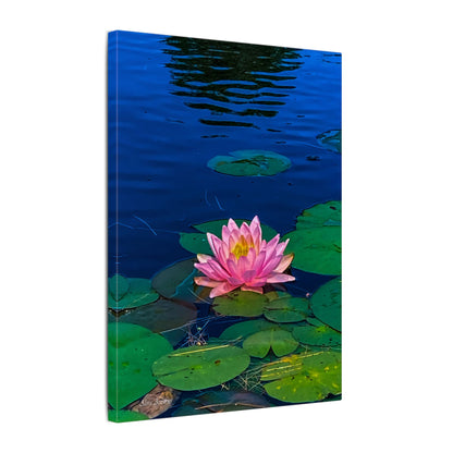 Water Lily Canvas Print — Pink Lotus Pond Wall Art (Matte Stretched)