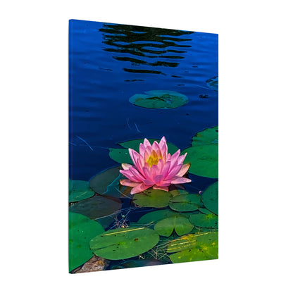 Water Lily Canvas Print — Pink Lotus Pond Wall Art (Matte Stretched)