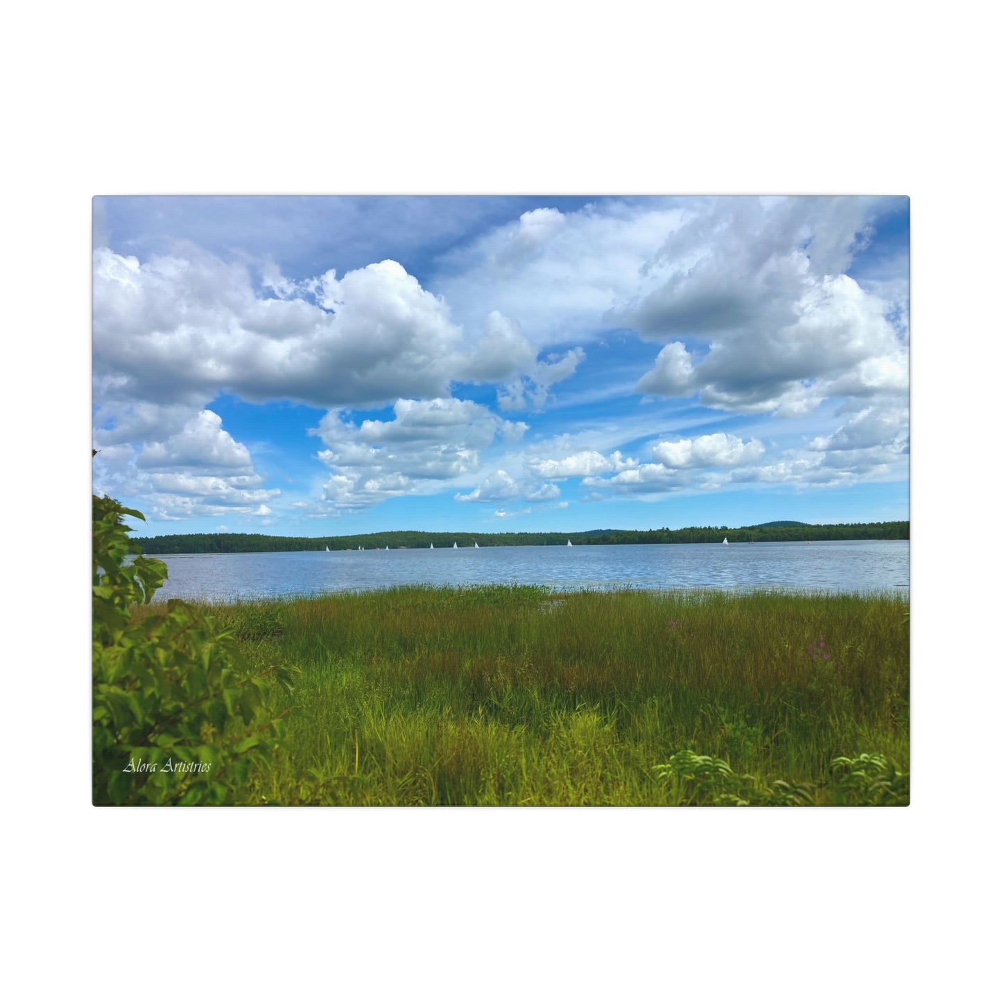 Lake Massabesic Sailboats Canvas