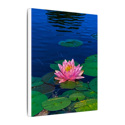 Water Lily Canvas Print — Pink Lotus Pond Wall Art (Matte Stretched)