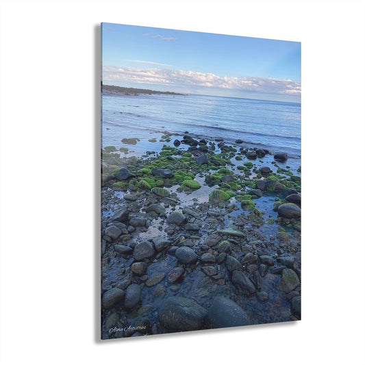 New Hampshire Rocky Coastline Acrylic Print — Mossy Seaside Wall Art (French Cleat Hanging)