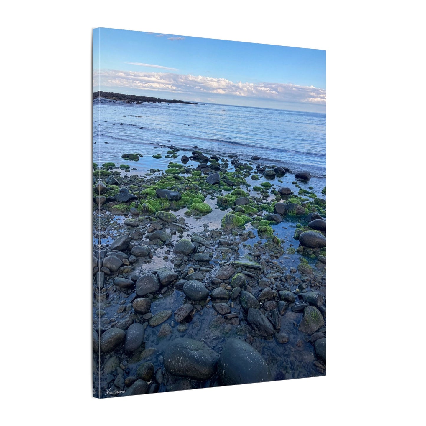 Coastal Rock Beach Matte Canvas Print — Serene Ocean Wall Art
