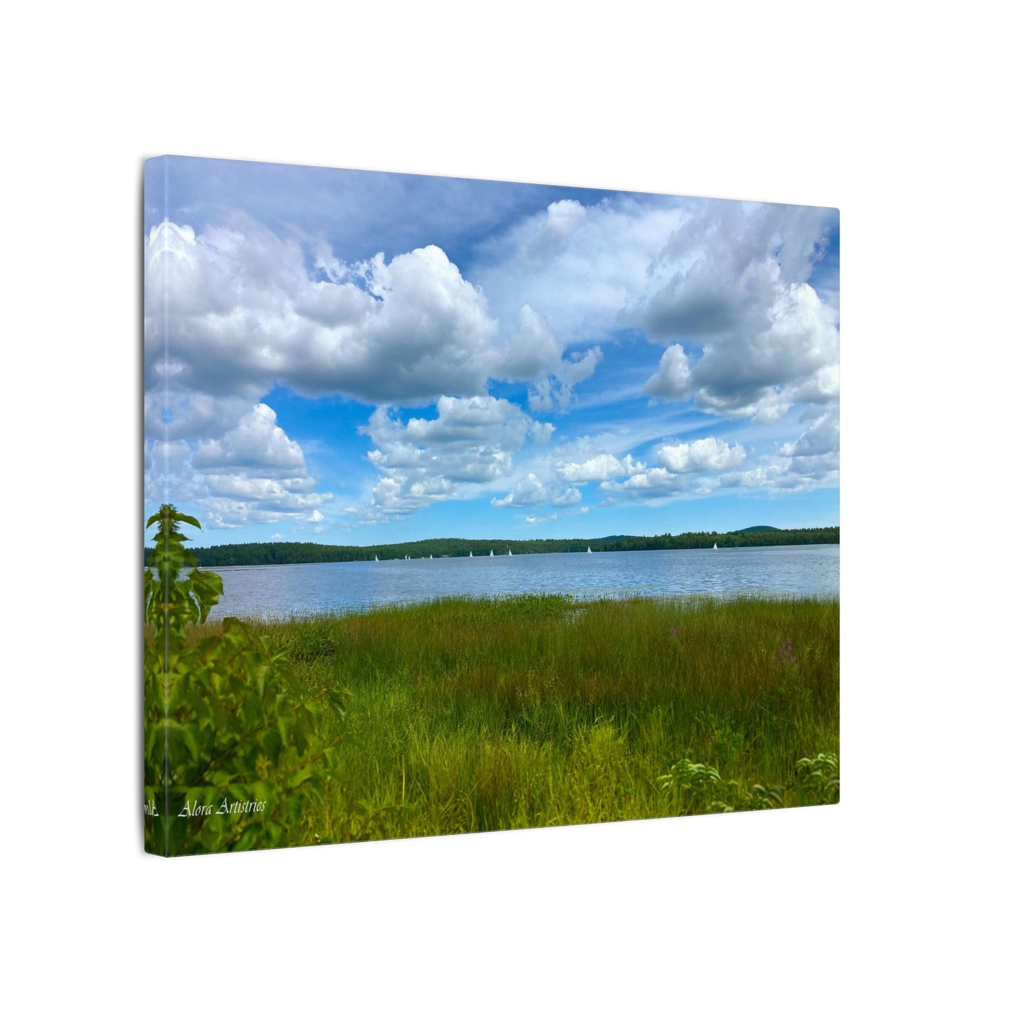 Lake Massabesic Sailboats Canvas