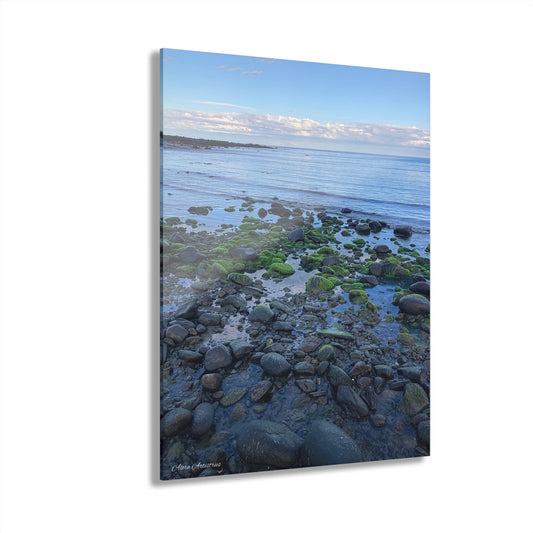New Hampshire Rocky Coastline Acrylic Print — Mossy Seaside Wall Art (French Cleat Hanging)