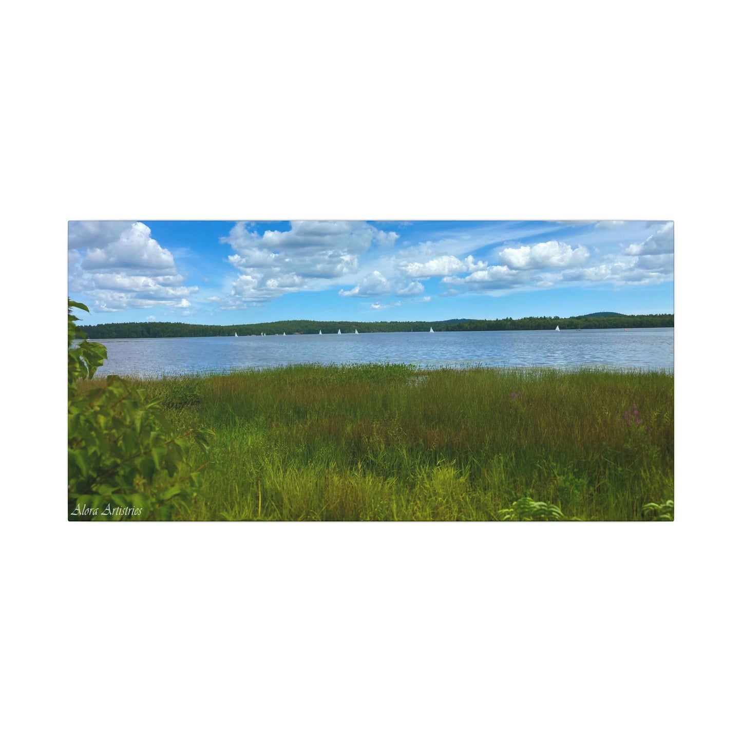 Lake Massabesic Sailboats Canvas