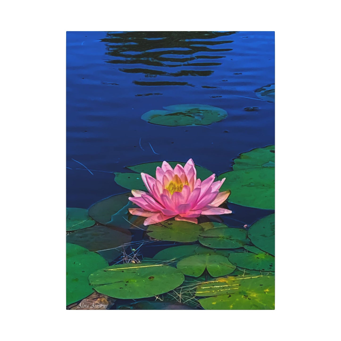 Water Lily Canvas Print — Pink Lotus Pond Wall Art (Matte Stretched)
