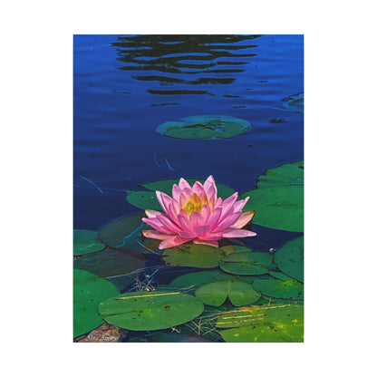 Water Lily Canvas Print — Pink Lotus Pond Wall Art (Matte Stretched)