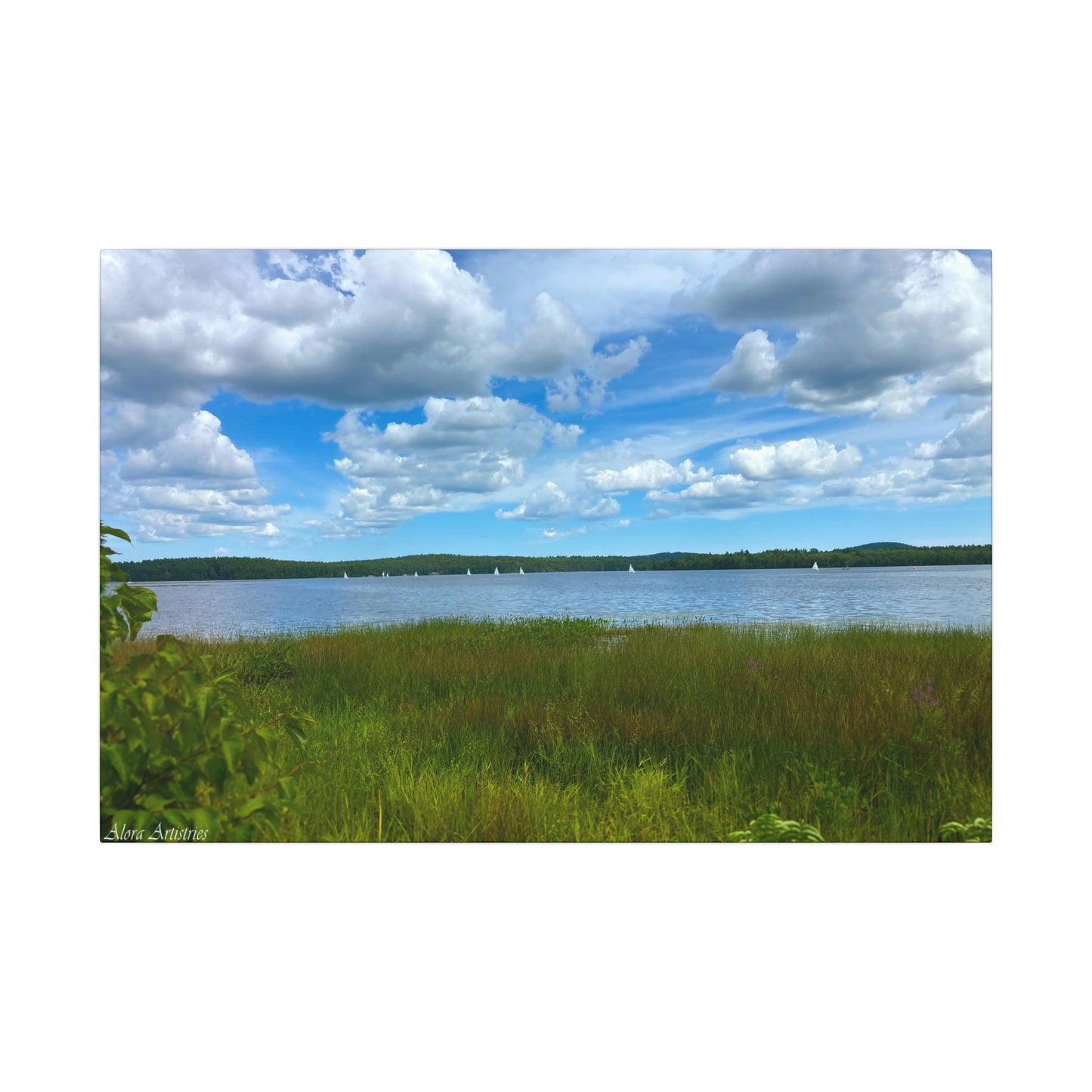 Lake Massabesic Sailboats Canvas