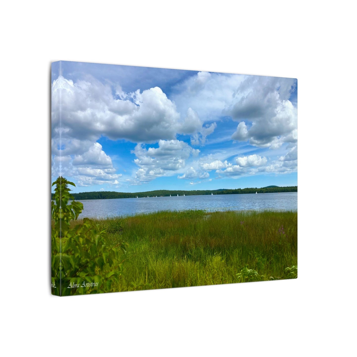Lake Massabesic Sailboats Canvas