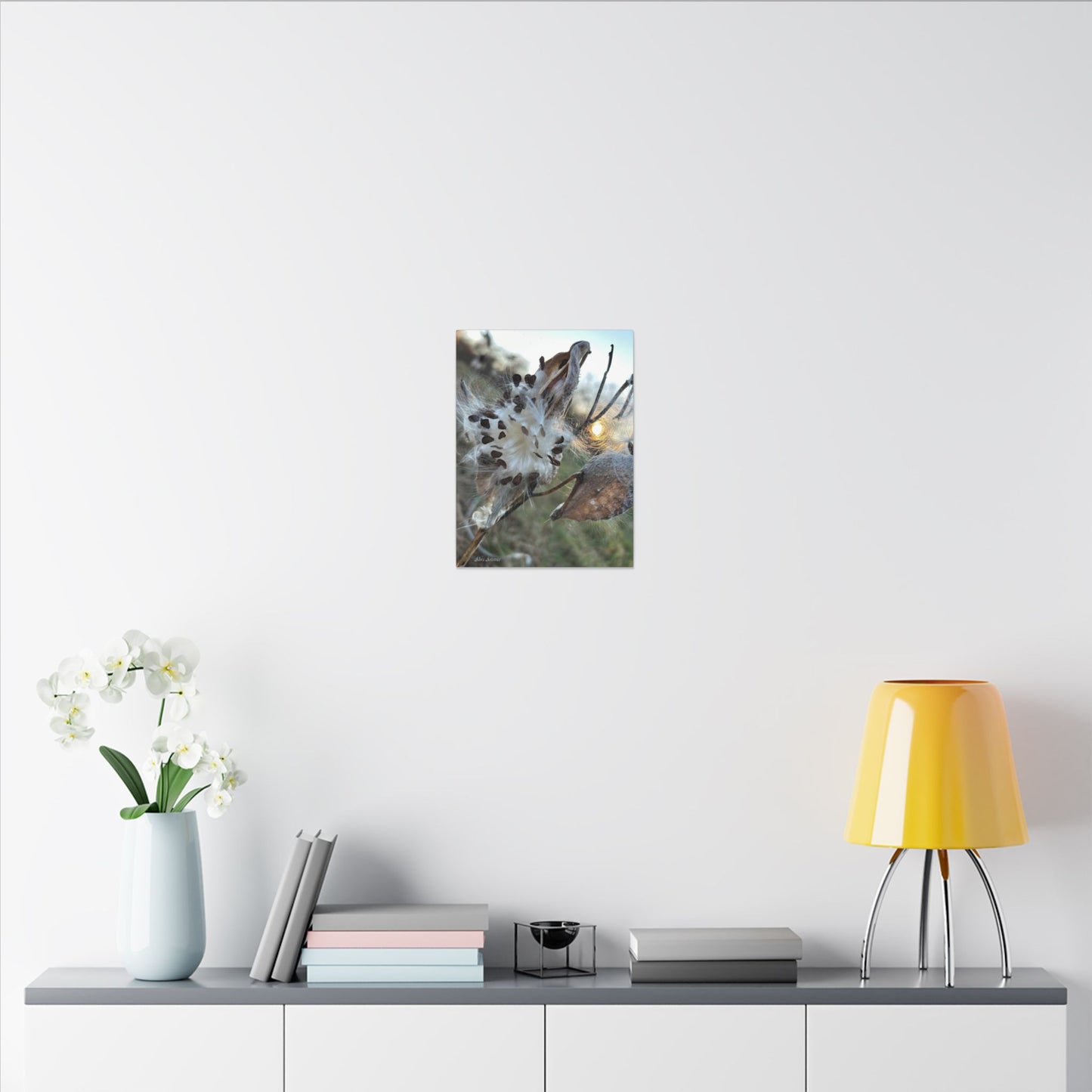 Milkweed Seed Burst Canvas Wall Art — Botanical Close-Up with Sunlit Glow