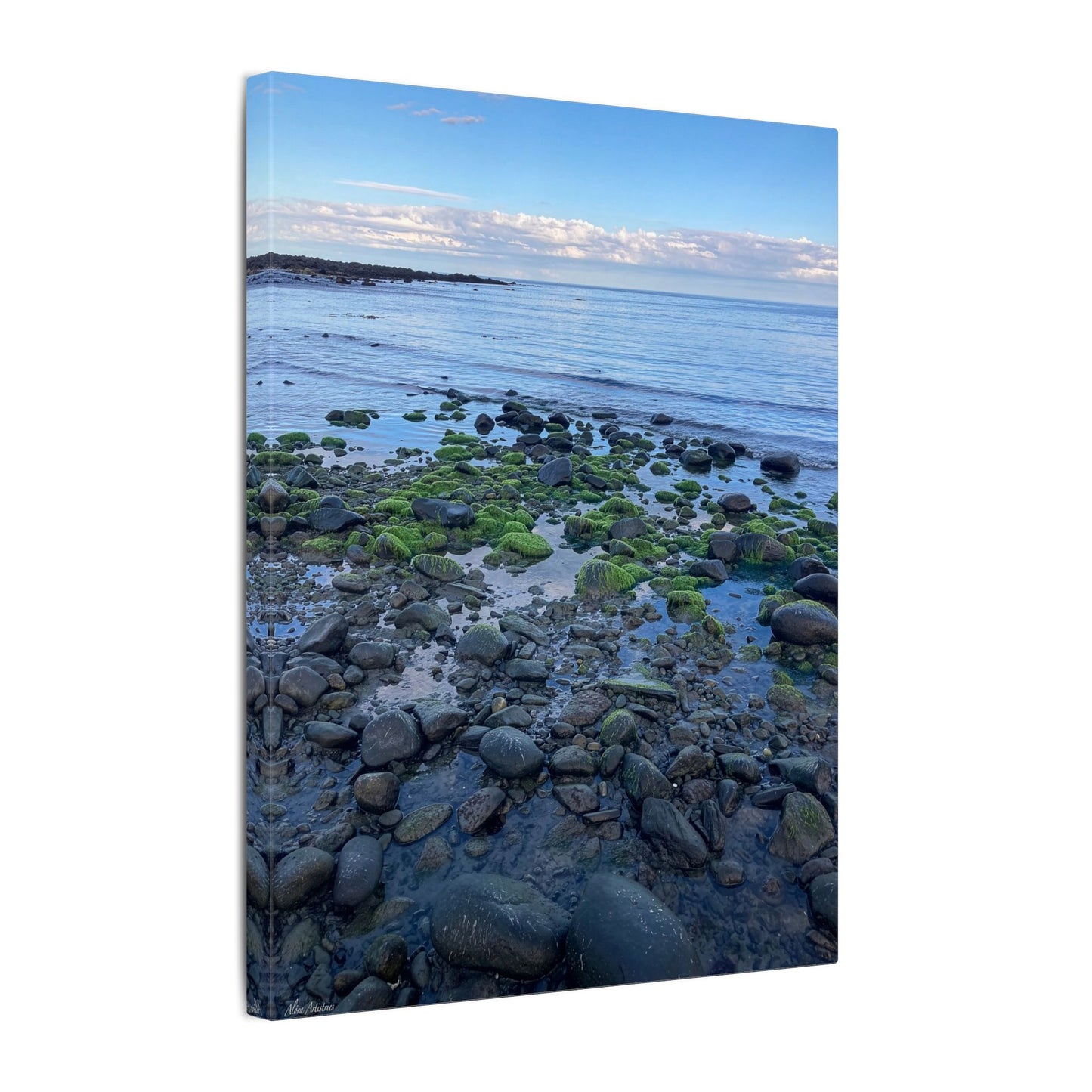 Coastal Rock Beach Matte Canvas Print — Serene Ocean Wall Art