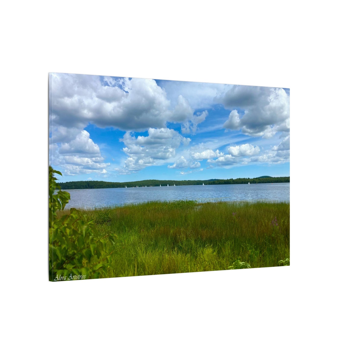 Lake Massabesic Sailboats Canvas