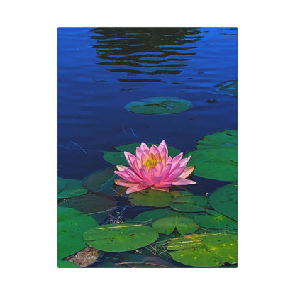 Water Lily Canvas Print — Pink Lotus Pond Wall Art (Matte Stretched)