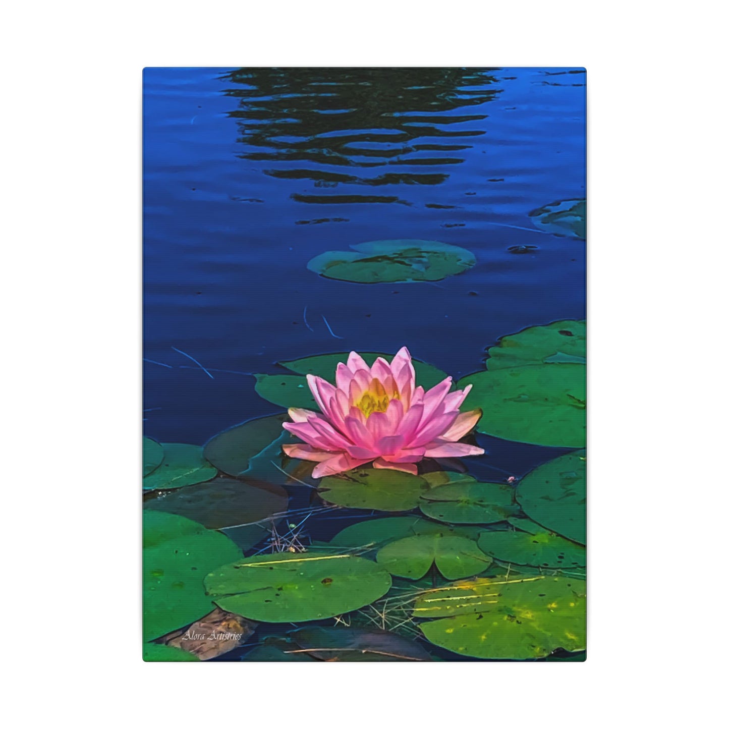 Water Lily Canvas Print — Pink Lotus Pond Wall Art (Matte Stretched)