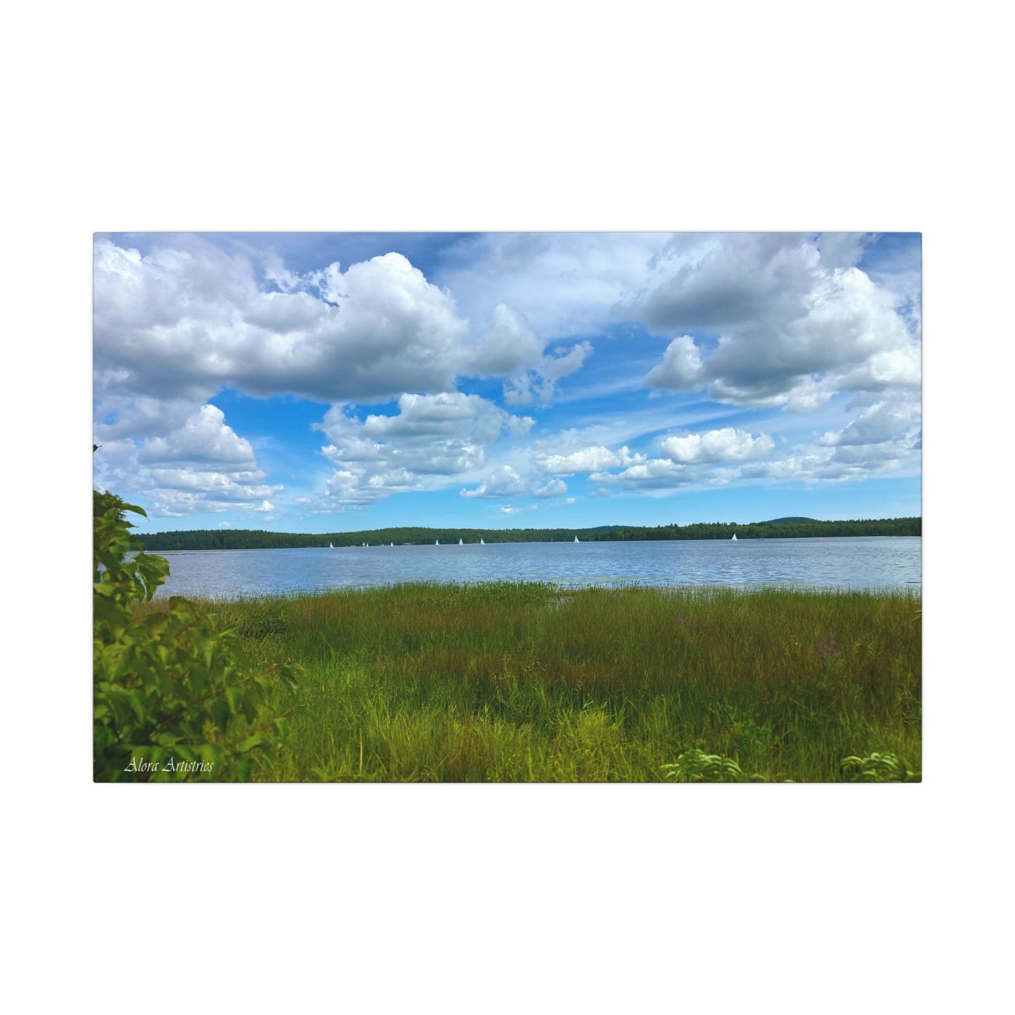 Lake Massabesic Sailboats Canvas