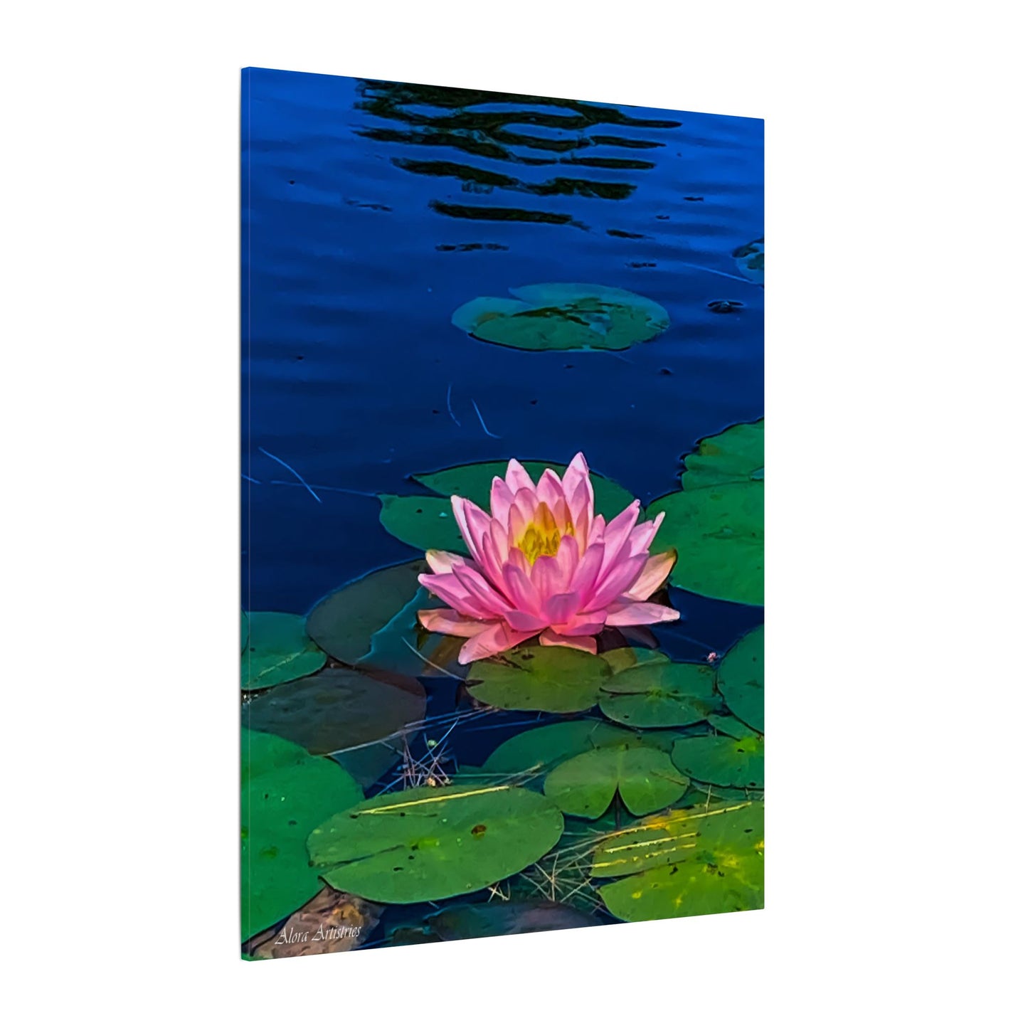 Water Lily Canvas Print — Pink Lotus Pond Wall Art (Matte Stretched)