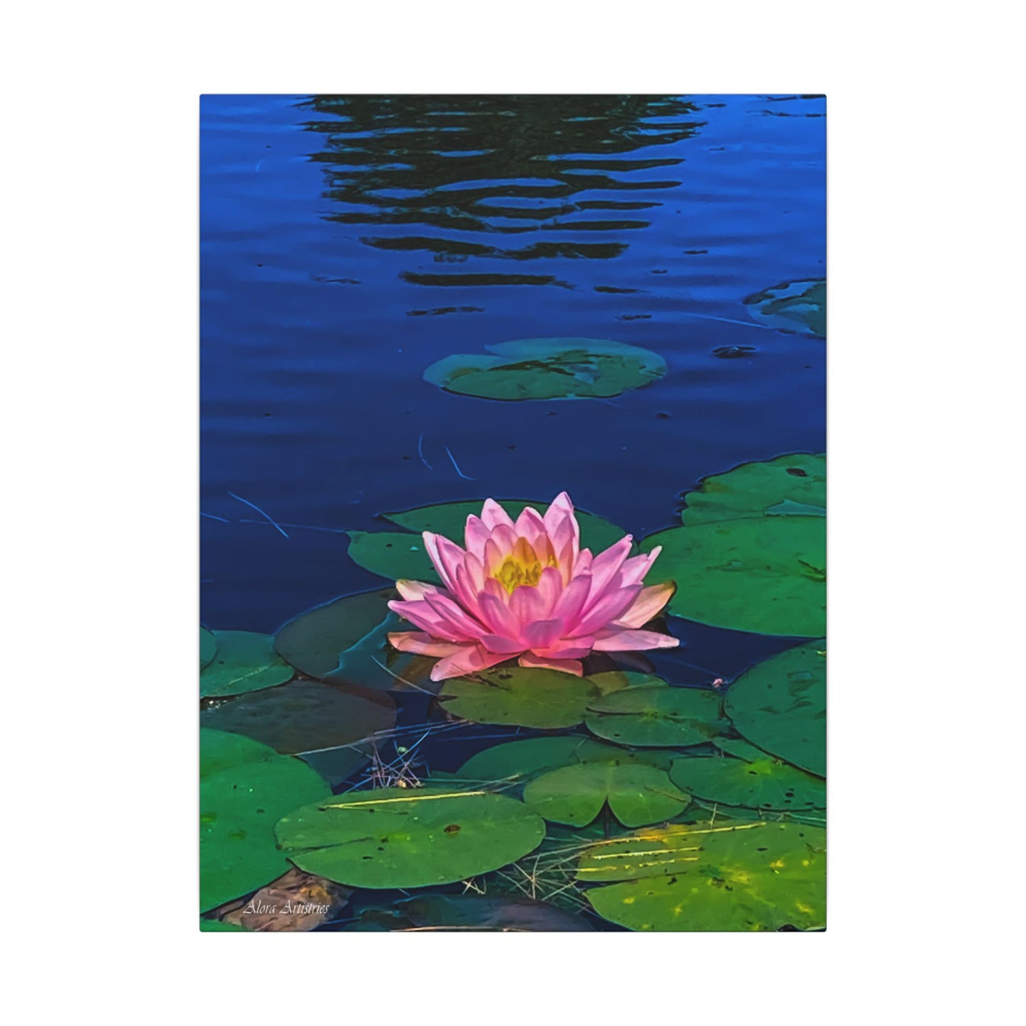 Water Lily Canvas Print — Pink Lotus Pond Wall Art (Matte Stretched)