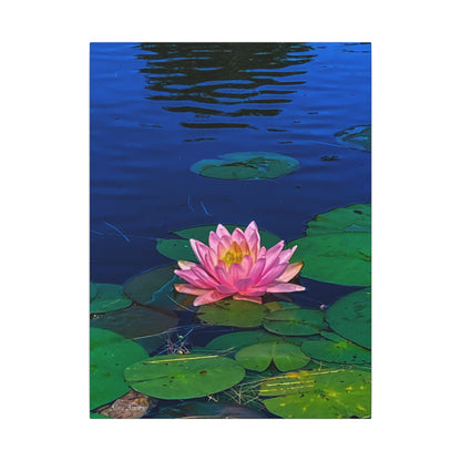 Water Lily Canvas Print — Pink Lotus Pond Wall Art (Matte Stretched)