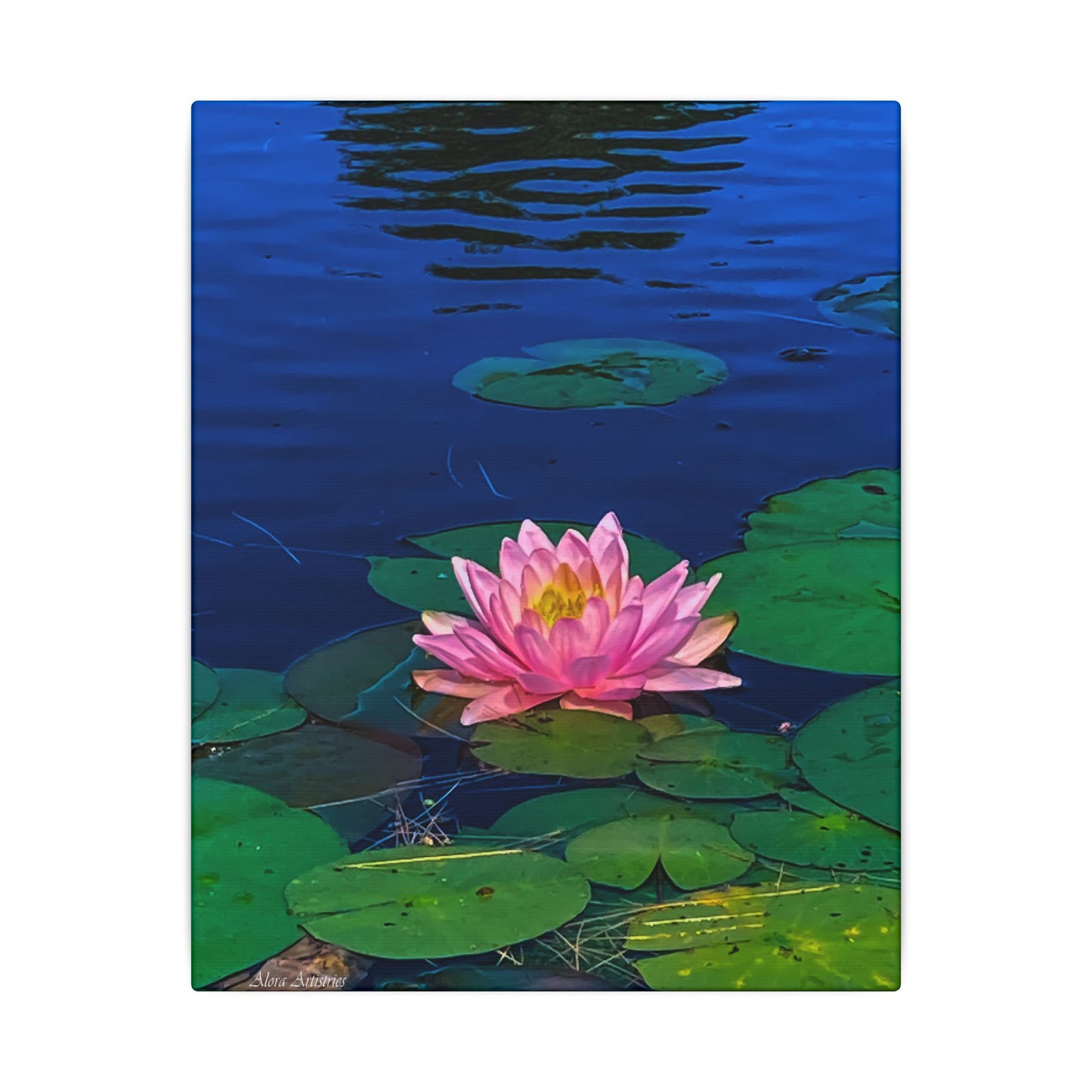 Water Lily Canvas Print — Pink Lotus Pond Wall Art (Matte Stretched)