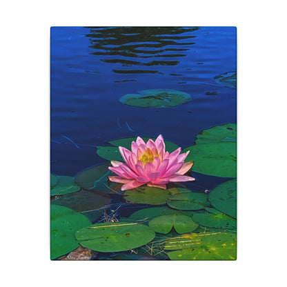 Water Lily Canvas Print — Pink Lotus Pond Wall Art (Matte Stretched)
