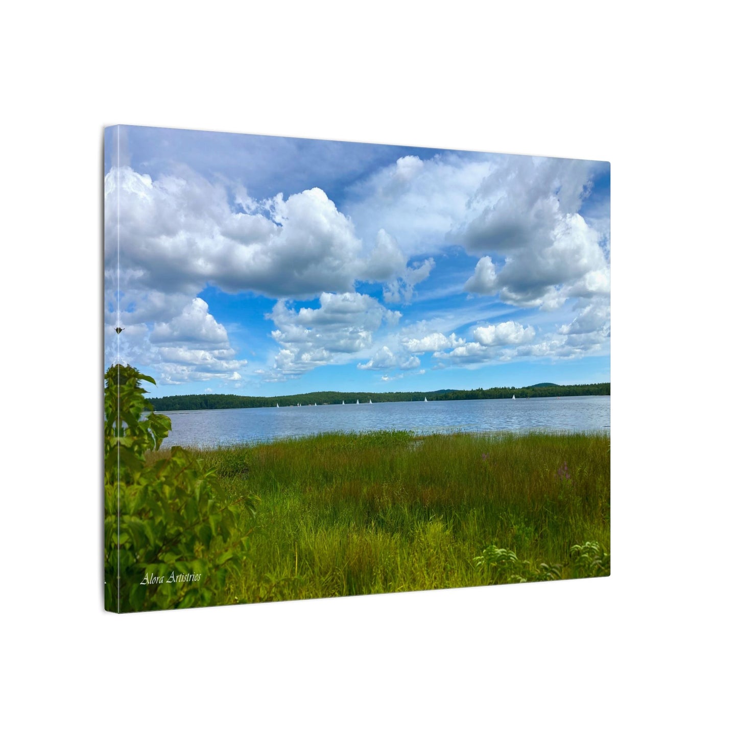 Lake Massabesic Sailboats Canvas